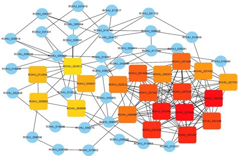 Frontiers Integrative Mirna Mrna Network Analysis To Identify Crucial