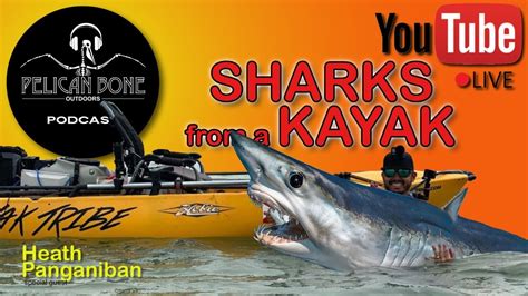 Catching Sharks From A Kayak Youtube