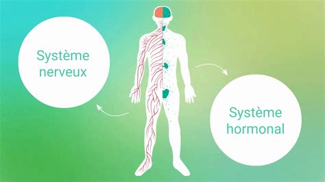 1 TUTO FORMATION GESTION DU STRESS Comprendre les mécanismes du stress