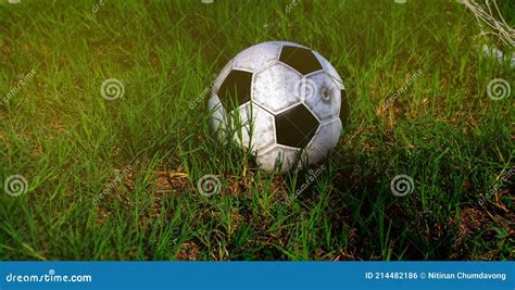 A Soccer Ball On The Green Field Beautiful Light Stock Photo Image Of