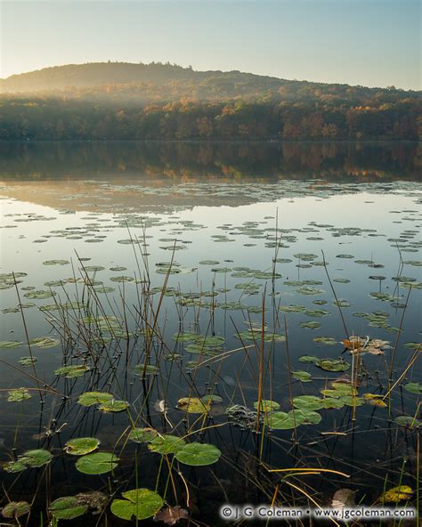 Waking The Shadows Of Mount Tom J G Coleman Photography