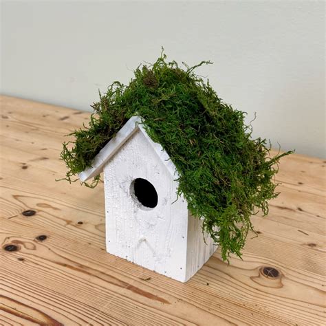 Do It Yourself Moss Birdhouse In A Few Easy Steps Quality Growers