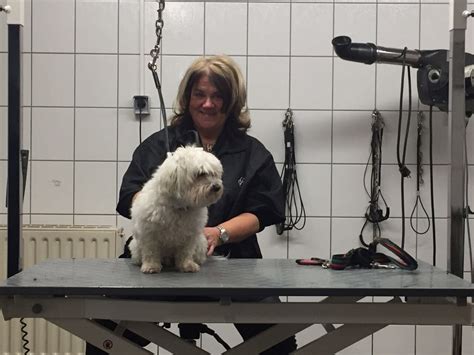 Beispielbilder Aus Dem Hundesalon Hundesalon Mary N Sser