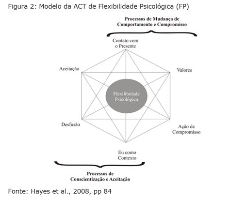 Terapia De Aceita O E Compromisso Act Fundamentos E Evid Ncias Artmed