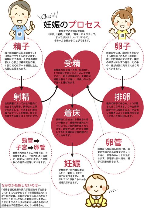 不妊・妊婦の豆知識（妊娠と妊活の「超キホン」 Part1）｜健美鍼灸院｜東京・銀座・新橋で不妊鍼灸・不妊治療のことならお任せください！口コミでも評判