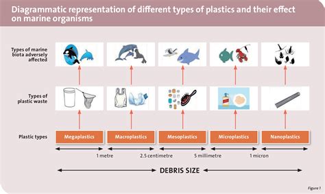 Pdf Microplastics In Our Oceans And Marine Health Semantic Scholar