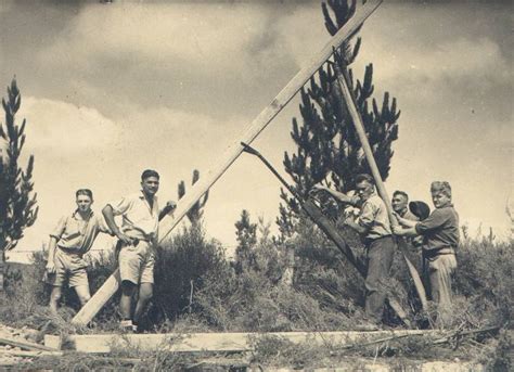 Our History Northpower