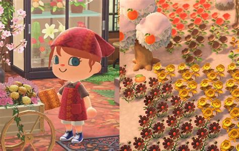 How To Get Black Flowers In Animal Crossing New Horizons