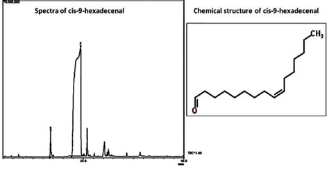 Gcms Chromatogram And Chemical Structure Of The Natural Compound