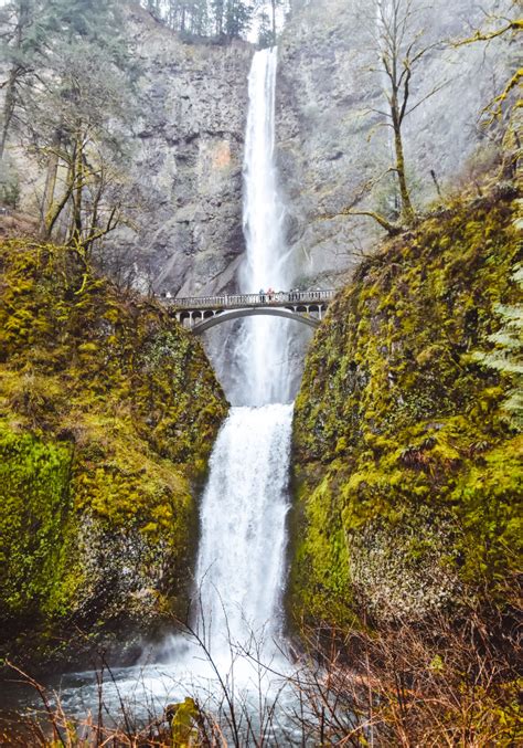 The Best, Easy Waterfall Hikes in the Columbia River Gorge • Reckless ...