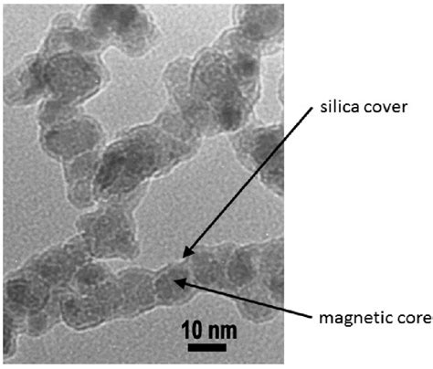 TEM image of superparamagnetic maghemite nanoparticles γ Fe 2 O 3