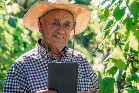 Agricultor Con Tablet O Dispositivo Tecnológico En El Campo Foto de