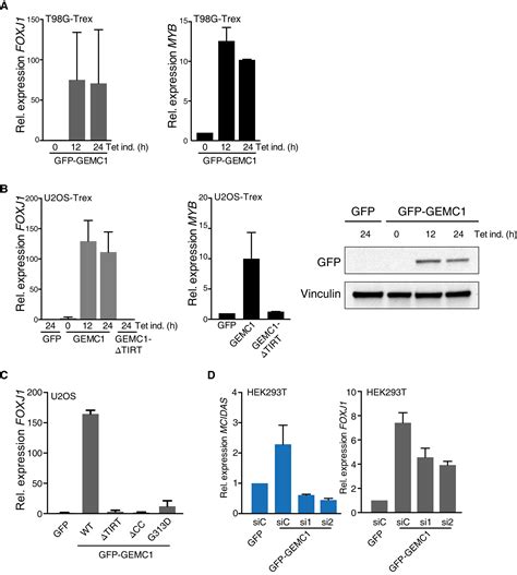 Gemc1 Is A Critical Regulator Of Multiciliated Cell Differentiation