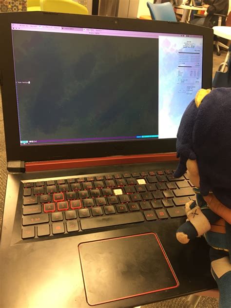 Daily Pictures Of Plush Lucina On Tumblr