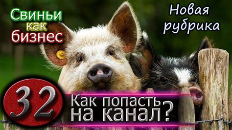 ОБМЕН ОПЫТОМ / КАК ПРИСЛАТЬ ВИДЕО - YouTube