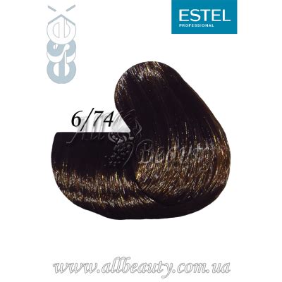 6/74 ESTEL PRINCESS ESSEX (Эстель Принцесс Эссекс) профессиональная ...