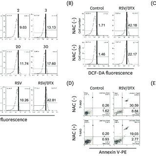 Effects Of Ros Scavenger Nac On Cytotoxicity Induced By Rsv And Dtx In