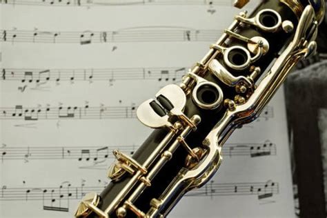 Best Clarinets For Beginners Intermediates All Levels