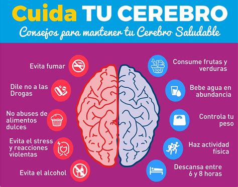 Cada 22 de julio se celebra el Día Mundial del Cerebro TU RADIO AMIGA