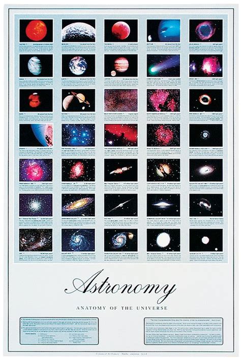 Anatomy Of The Universe Chart Flinn Scientific