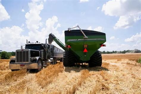 Sovecon Ups Its Forecast For Russia S 2021 22 Wheat Exports