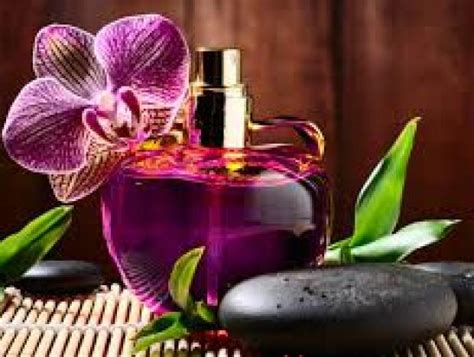 Book A Massage With The Purple Orchid Spa Loveland Co 80537