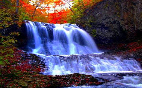 Forest Falls Autumn Waterfalls Cascade Forest Hd Wallpaper Pxfuel