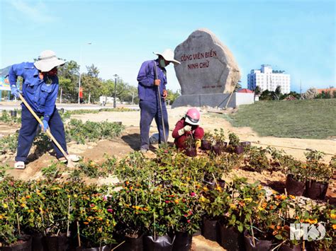 Ninh Thuan Is Bustling With Spring Colors Vietnam Vn