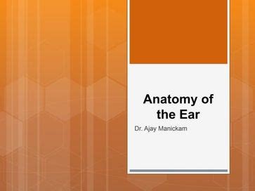 Anatomy and physiology of the ear | PPT