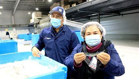 Participará Sepesca en taller de pelágicos menores Uniradio Informa