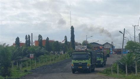 Harga TBS Sawit Di Pabrik Bengkulu Selatan Dan Kaur Naik Di Petani