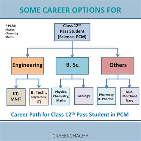 Some Of The Most Preferred Courses After Class Th Pcm Career