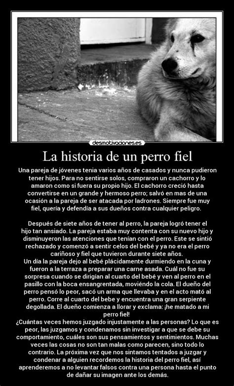 La Historia De Un Perro Fiel Desmotivaciones