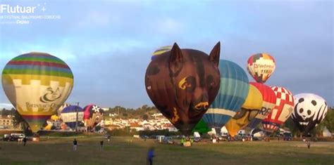 Festival de Balonismo de Coruche levanta voo esta terça feira Mais