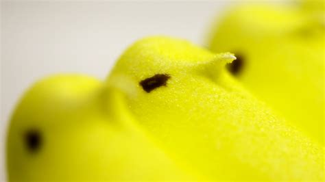 Peeps Wikipedia Atelier Yuwaciaojp