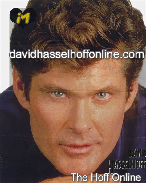 1990’s The Official David Hasselhoff Website