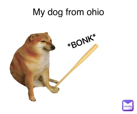 How Do You Register A Dog In Ohio