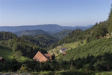 Wandern Dich glücklich Nördlicher Schwarzwald Wanderführer