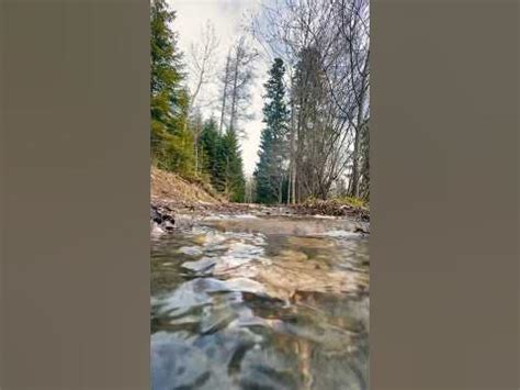 Гірська вода - YouTube