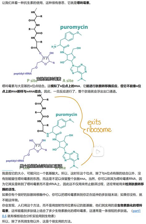 Mit 分子生物学 Part3 317 Antibiotics And Analogs 哔哩哔哩