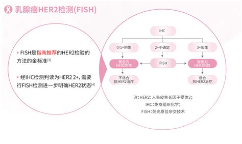 乳腺癌基因检测 鼎晶生物 让医疗更有效 肿瘤基因检测