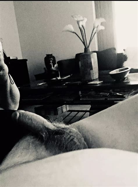 Reading In Summer Nudes ArtGW NUDE PICS ORG