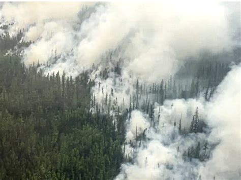 Incendios Forestales Arrasan Con Miles De Hect Reas En Siberia