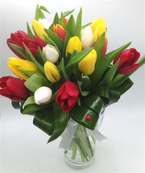 Buchet 19 Lalele Colorate Florarie Online Cluj Livrare Gratuita