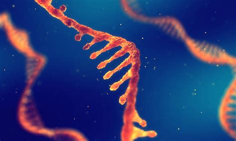 Cell Free Rna Next Generation Sequencing Workflow Streck