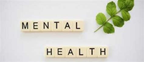 National Tele Mental Health Programme To Be Launched Sarkaritel