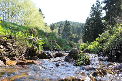 Steckbrief UNESCO Biosphärenreservat Thüringer Wald