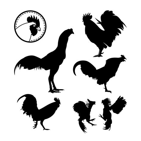 Gallo Pollo Setinspiraci N Logo Silueta Gallo Cuervo Gallo De Pelea