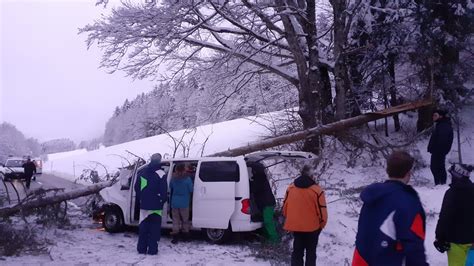 Un arbre tombe sur une voiture au Pâquier