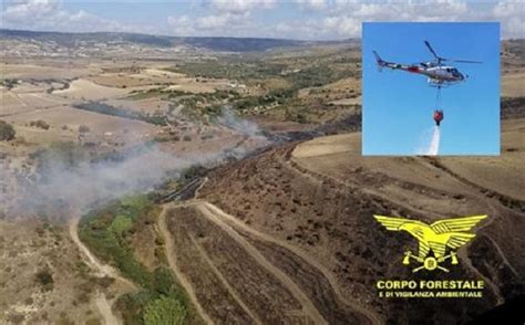 Oggi 19 Incendi In Sardegna Elicotteri In Volo